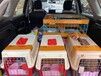 咸宁宠物小狗托运靠谱专车托运