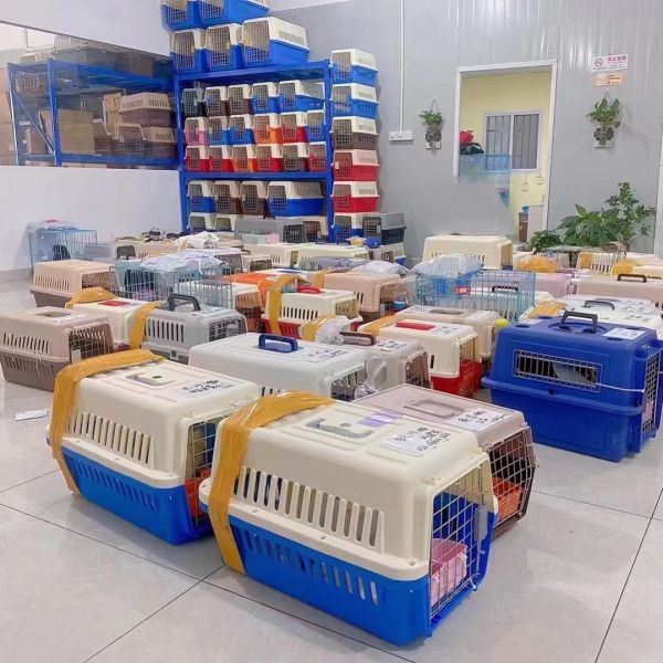 连云港市宠物托运平台狗狗托运宠物邮寄全国可达