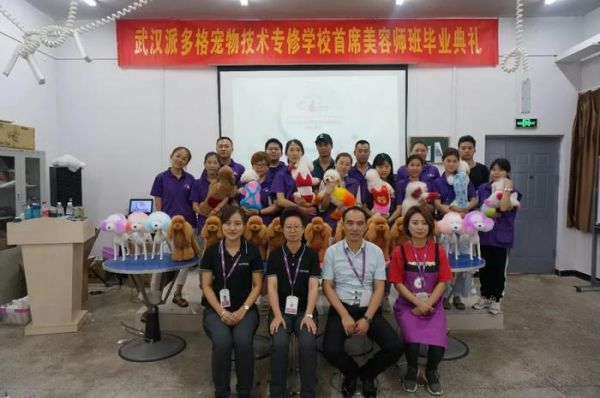 学宠物美容前景怎样|武汉派多格宠物学校3期首席美容班毕业典礼