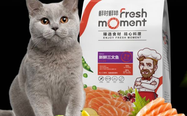 派多格