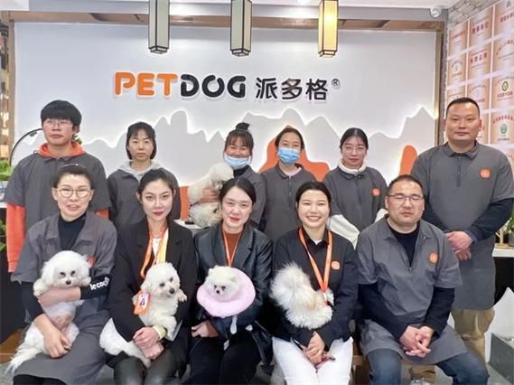 派多格宠物美容培训_派多格宠物美容培训学校在那
