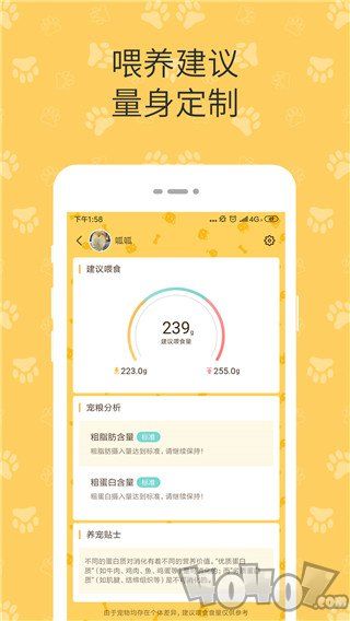 陪彼宠物