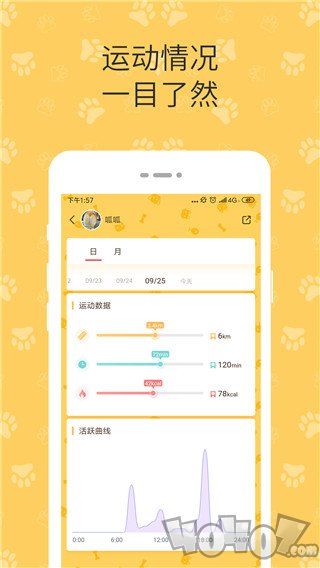 陪彼宠物