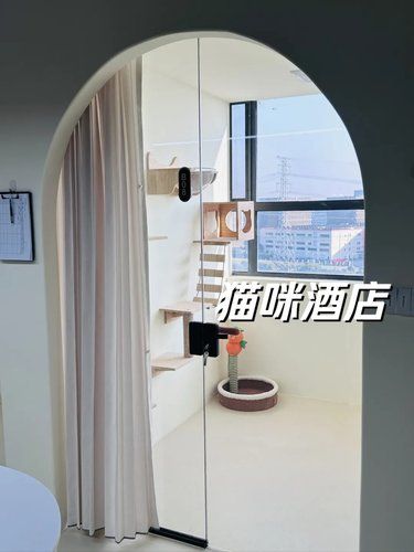 天，猫咪都有专属酒店了！豪华阳光房！