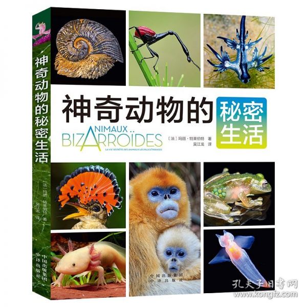 动物的秘密生活