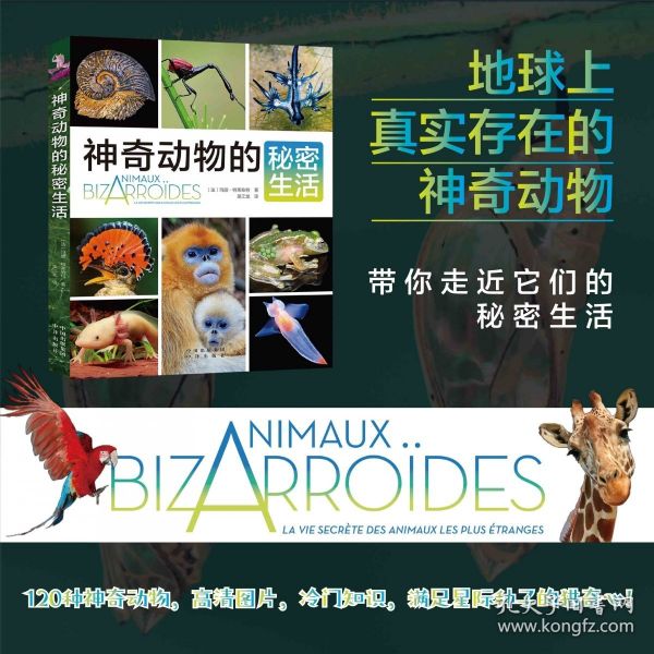 动物的秘密生活