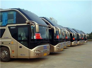 快客宠物快件托运郑州到荣成大巴车