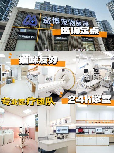 杭州24小时动物医院❗推给有需要的铲屎官