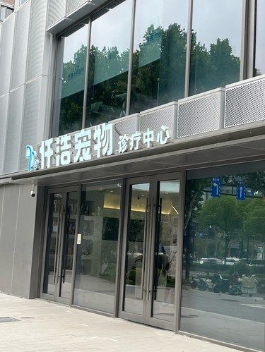 不愧是宠物医院天花板‼️