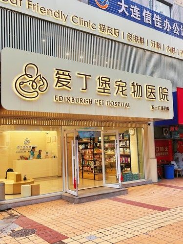 毛孩子们的守护者
