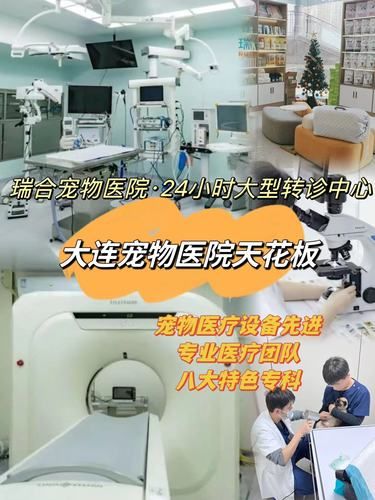 大连宠物医院天花板！综合性全科医院！