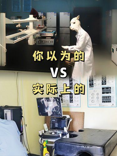 动物医院什么样的‼️这也太真实了吧 
