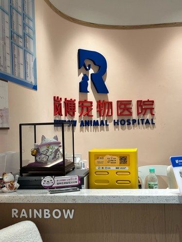 汉口新开的宠物医院