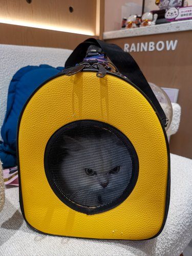 本喵替你们试过了…这家店员都好温柔
