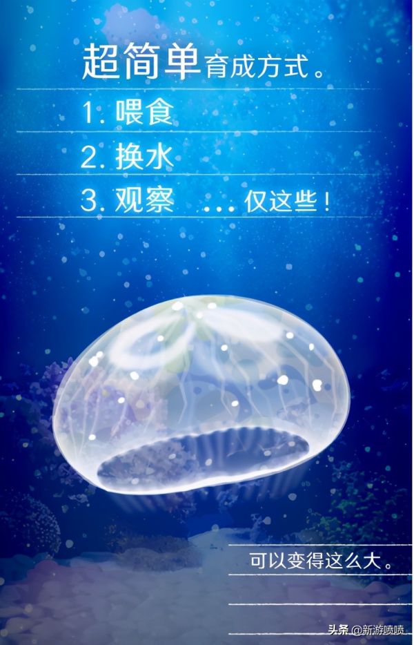 不肝无氪金手游推荐（第一期）：三款非常治愈的养宠物小游戏
