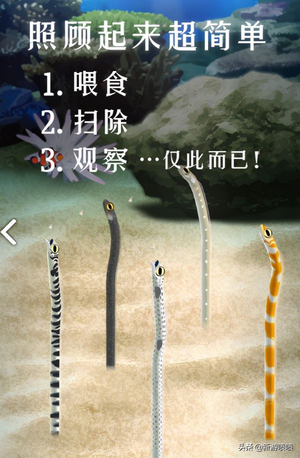 不肝无氪金手游推荐（第一期）：三款非常治愈的养宠物小游戏