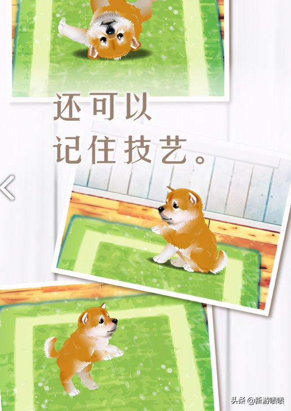不肝无氪金手游推荐（第一期）：三款非常治愈的养宠物小游戏