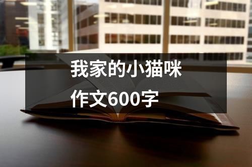 我家的小猫咪作文600字