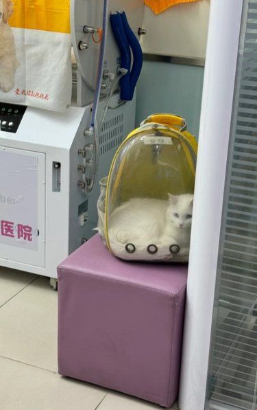震惊！我竟然在医院检查出.....