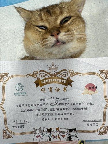 超后悔没早点去 深圳这家宠物医院简直绝了‼️