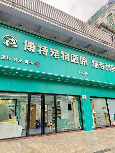 在深圳，唯一想要推荐宠物医院～