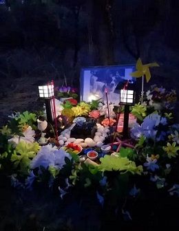 宠物土葬