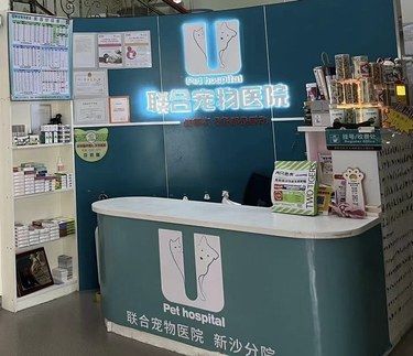 深圳宝安｜良心靠谱的宠物医院
