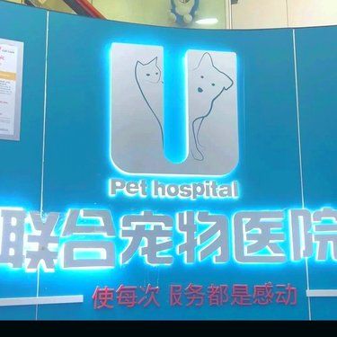 医术超赞 猫咪看病日记~