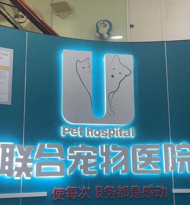 带着毛孩子体检的一天～