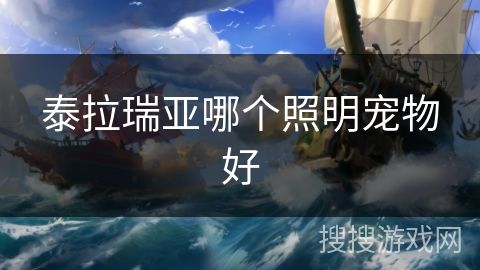 泰拉瑞亚哪个照明宠物好