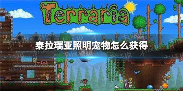 游侠网1