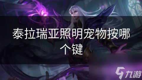 泰拉瑞亚照明宠物按哪个键