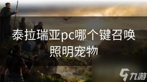泰拉瑞亚pc哪个键召唤照明宠物