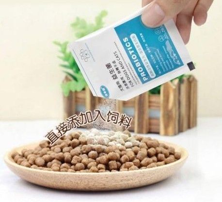 有必要给狗狗益生菌吗?可能真是个好选择