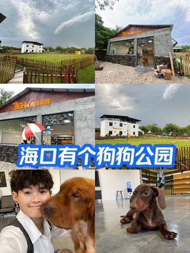 被这家宠物狗公园惊艳到啦