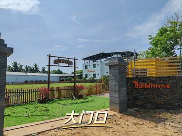 狗狗游泳？放开跑？亲子游？朋友聚会？看这里！