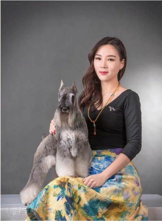 李晶老师