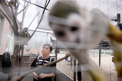 于谦60亩私人马场自己开荒百万元藏獒当宠物