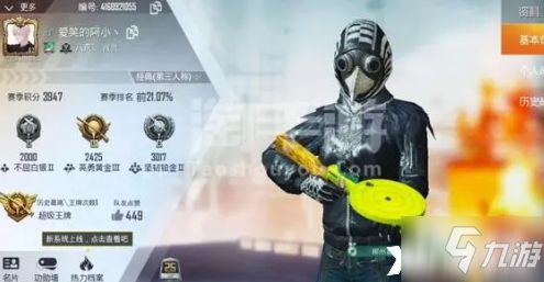 黑色沙漠的宠物好玩吗？