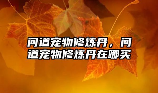 问道宠物修炼丹，问道宠物修炼丹在哪买