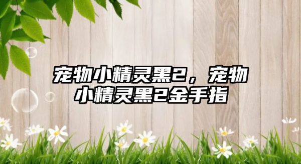 宠物小精灵黑2，宠物小精灵黑2金手指