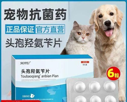 狗狗感冒要吃什么药（宠物医生推荐）