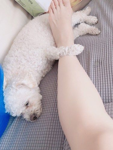 有谁能拒绝一只连睡觉都要抱着你脚脚的小狗勾吖