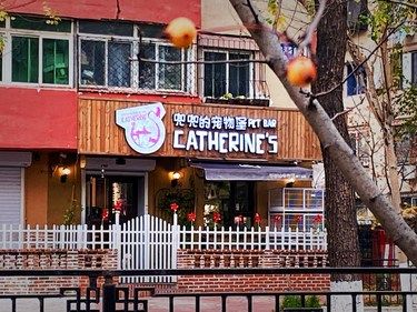 这是一家宠物店