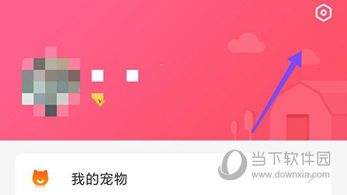 68宠物个人中心