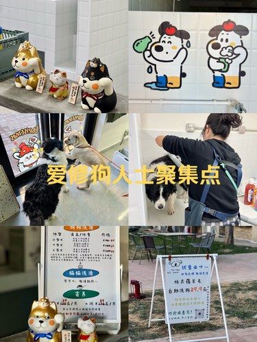 南城爱狗人士聚集点