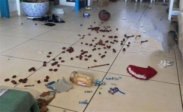 亿万富豪也不敢养的宠物，翻窗拆家无所不能，网友：真心养不起！