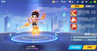 QQ飞车手游指挥官宠物推荐 QQ飞车手游指挥官带什么宠物好