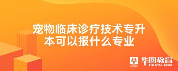 宠物临床诊疗技术专升本可以报什么专业