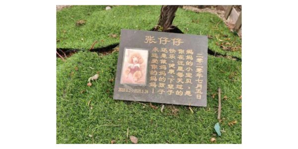 温州宠物狗火化多少钱,宠物